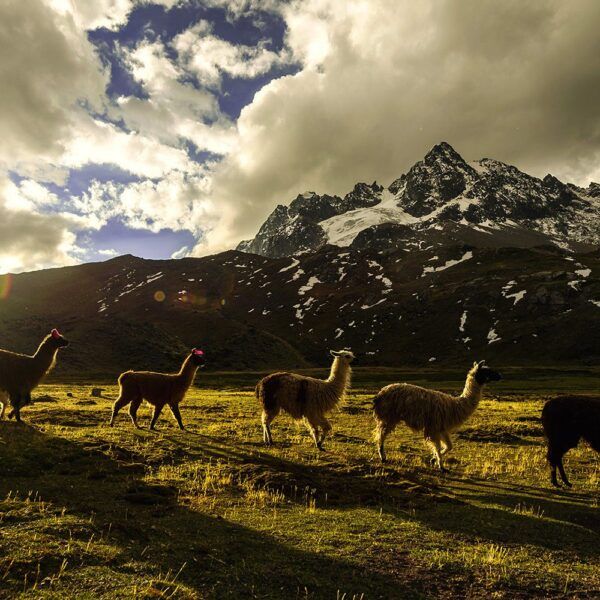 ausangate-trek-3-day