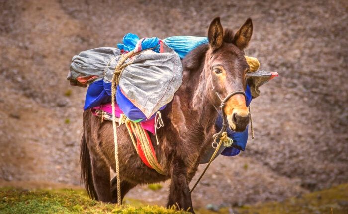 Ausangate-peru-trek