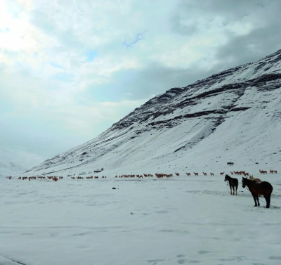 ausangate-trekking-to-pacchanta