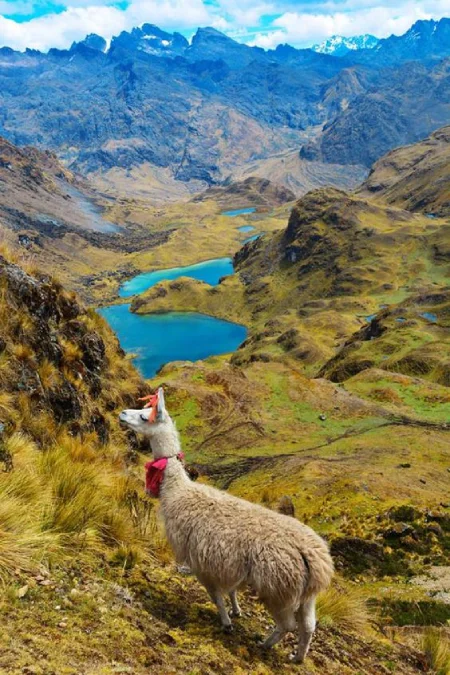 lares-to-machu-picchu