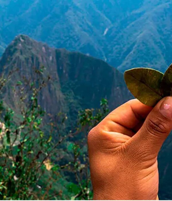 Sickness -n-Peru