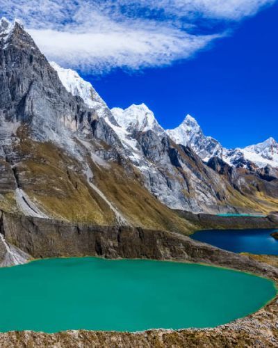 istockphoto-951178300-612×612 (1)