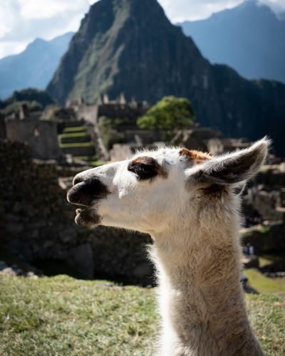 machu-picchu-1 machu-picchu-1