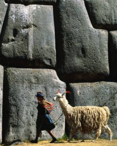 mujer arastrando a una llama (1) llama-01
