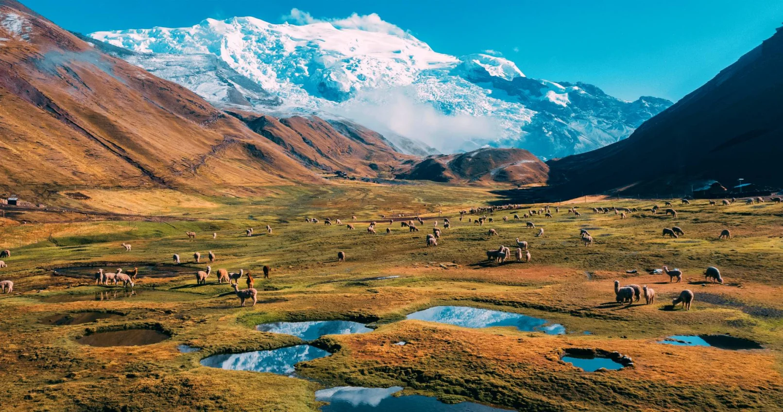 peru trek